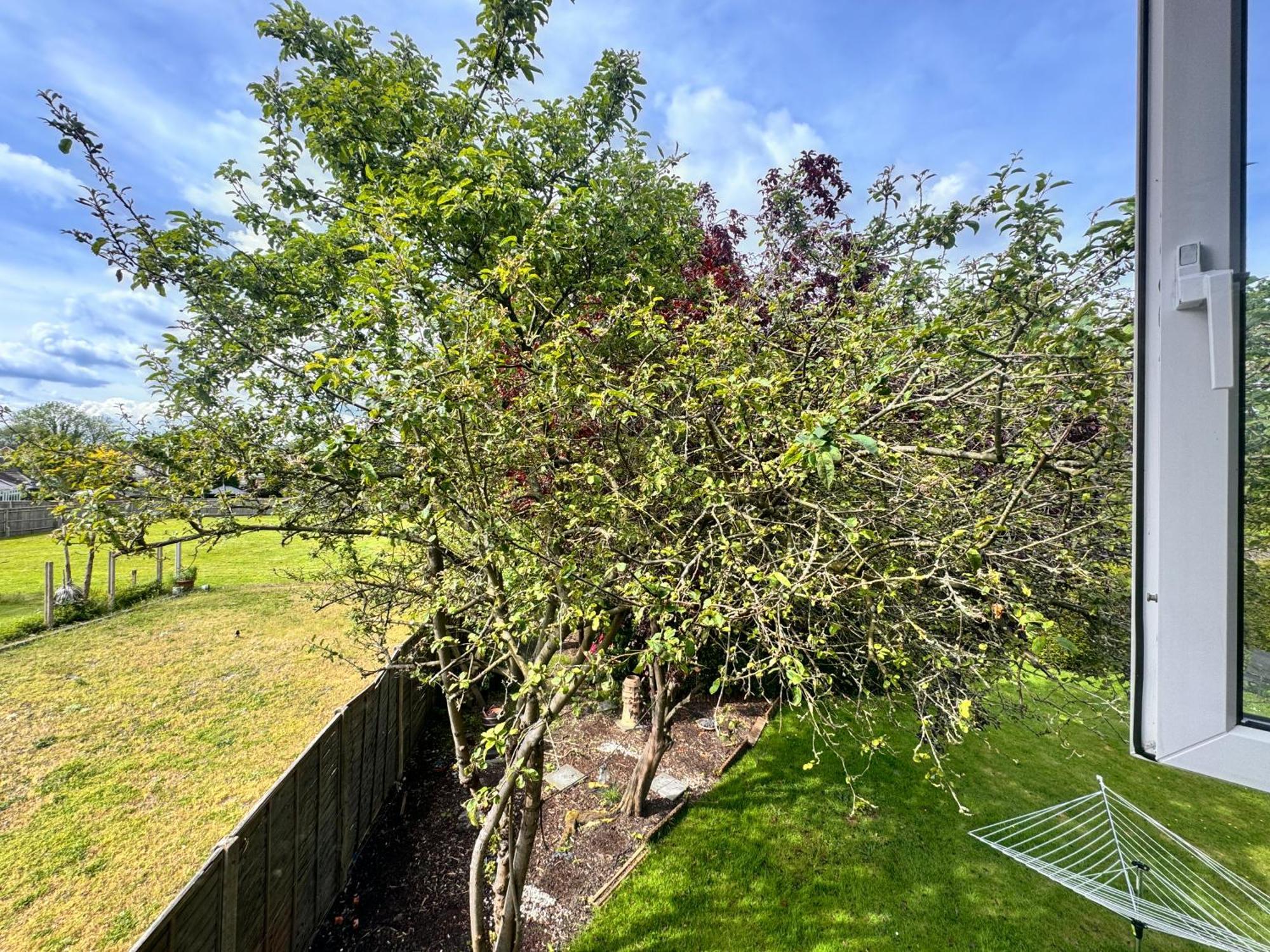 High Trees Guest House Gatwick Хорли Экстерьер фото